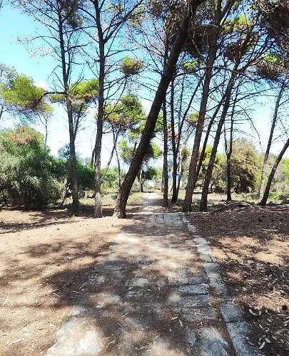 Oasis Escape *