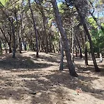 Oasis Escape Nyaraló *