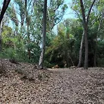 Oasis Escape Nyaraló Vaccarizzo-Delfino