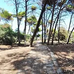 Oasis Escape *