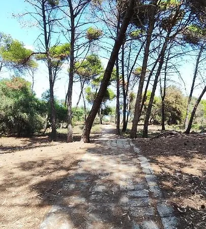Oasis Escape *