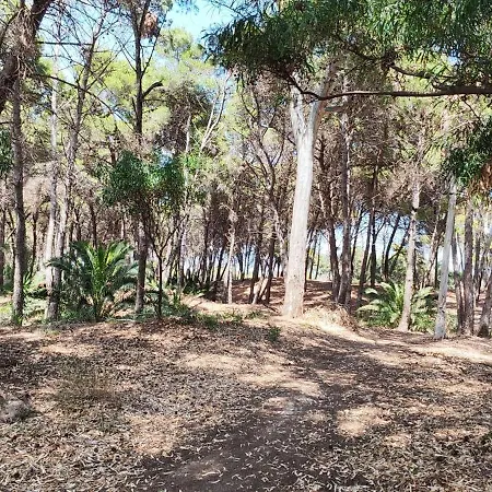 Nyaraló Oasis Escape *