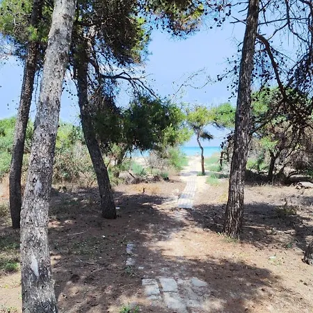 Oasis Escape * Vaccarizzo-Delfino