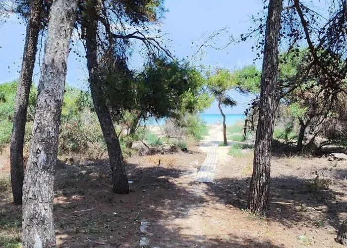 Oasis Escape * Vaccarizzo-Delfino